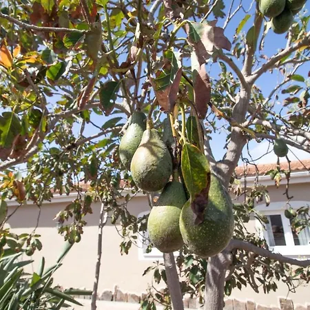 בית נופש De Lujo Con Jardin Privado Y Vistas Al Mar *