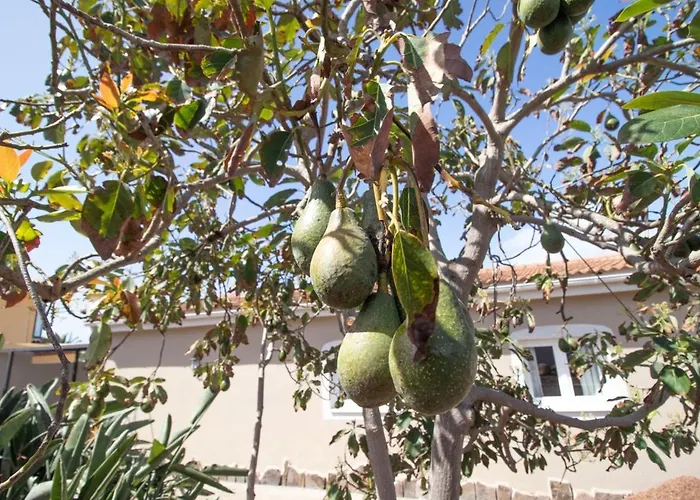 Сasa de vacaciones De Lujo Con Jardín Privado Y Vistas Al Mar *